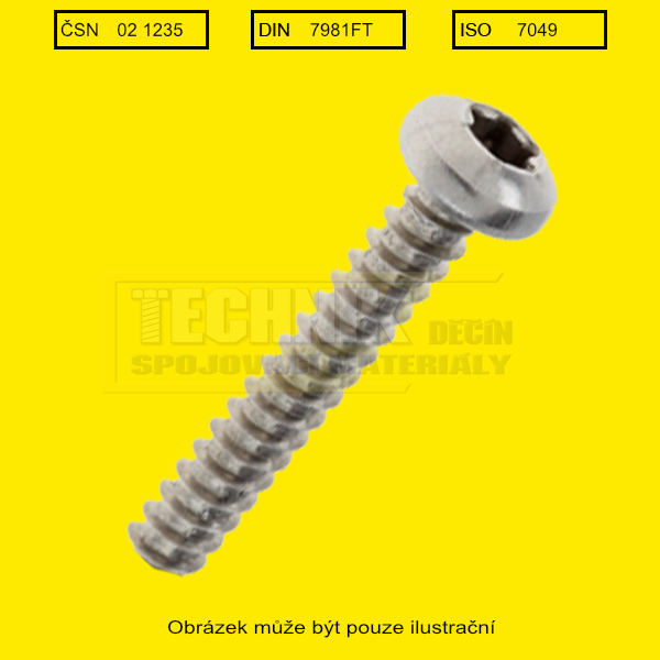 Din 7981FT půlkulatá  hlava TORX