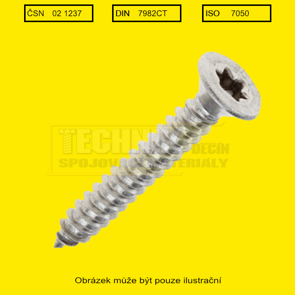 Din 7982CT zápustná hlava TORX