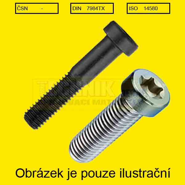 Din 7984TX s nízkou hlavou TORX