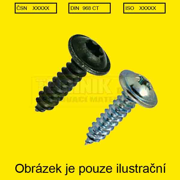 Din 968CT okrasné TORX