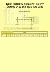 Kolík  3x40          2153  Din 1B  kuželový nekalený