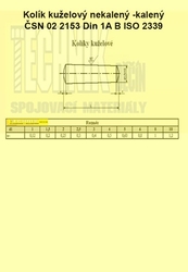 Kolík 20x80          2153  Din 1B  kuželový nekalený
