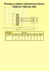 4x10  Zn          1162  Din 653 s nízkou rýhovanou hlavou