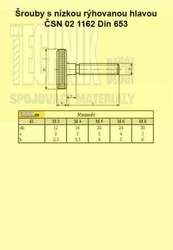 6x45  Zn          1162  Din 653 s nízkou rýhovanou hlavou