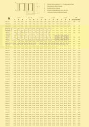 Vložka závitová  5x0.8x2.0D (L-10mm)  A2 na svíčky          Din 8140 AMECOIL FORM A