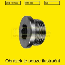 Zátka vypouštěcí 14x1.5  Zn          1938  Din 908  válcová s vnitřním šestihr+těs. krouž