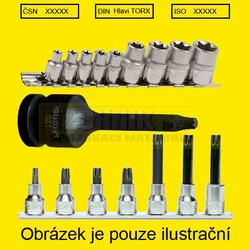 Hlavice nástrčná 1/2" Torx E12  GOLA vnitřní