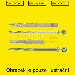 RMT hmož.rám.s vrutem ZH TORX 08x080  ČSN  DIN  ISO